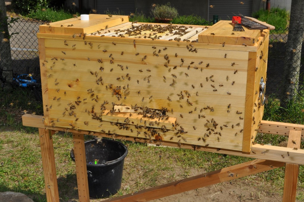 Milchsäure igitt! Die Bienen flüchten in Scharen. 