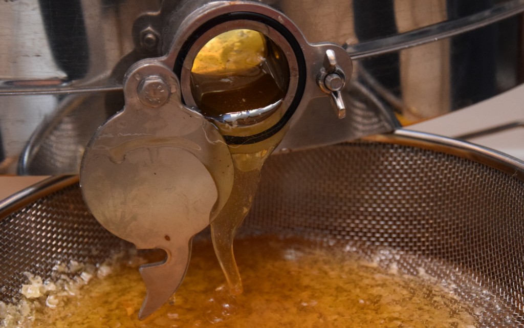 Goldgelb fließt der Honig aus der Schleuder durch das Sieb in den Eimer.
